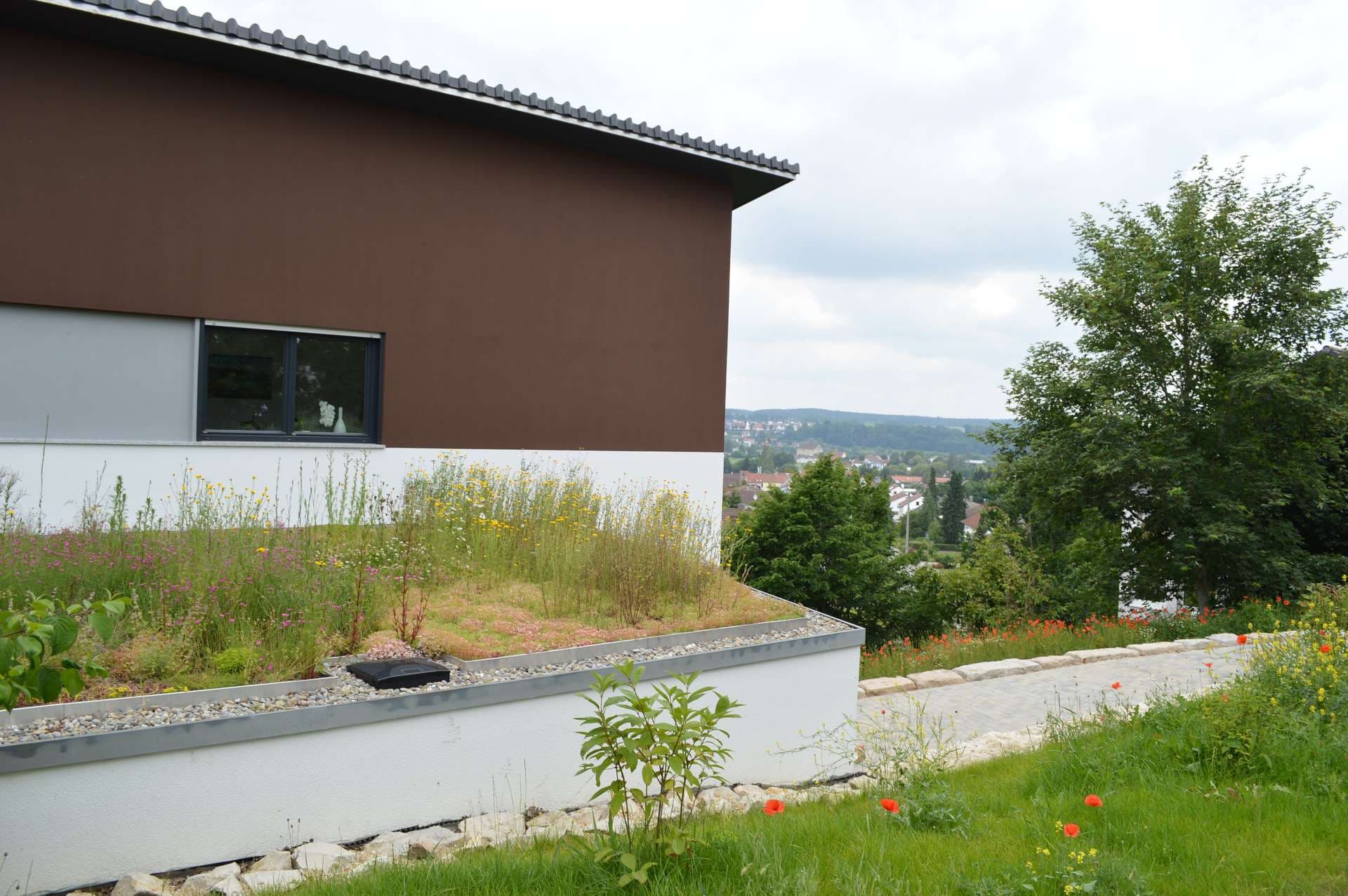 Swimming Pond Slide 2