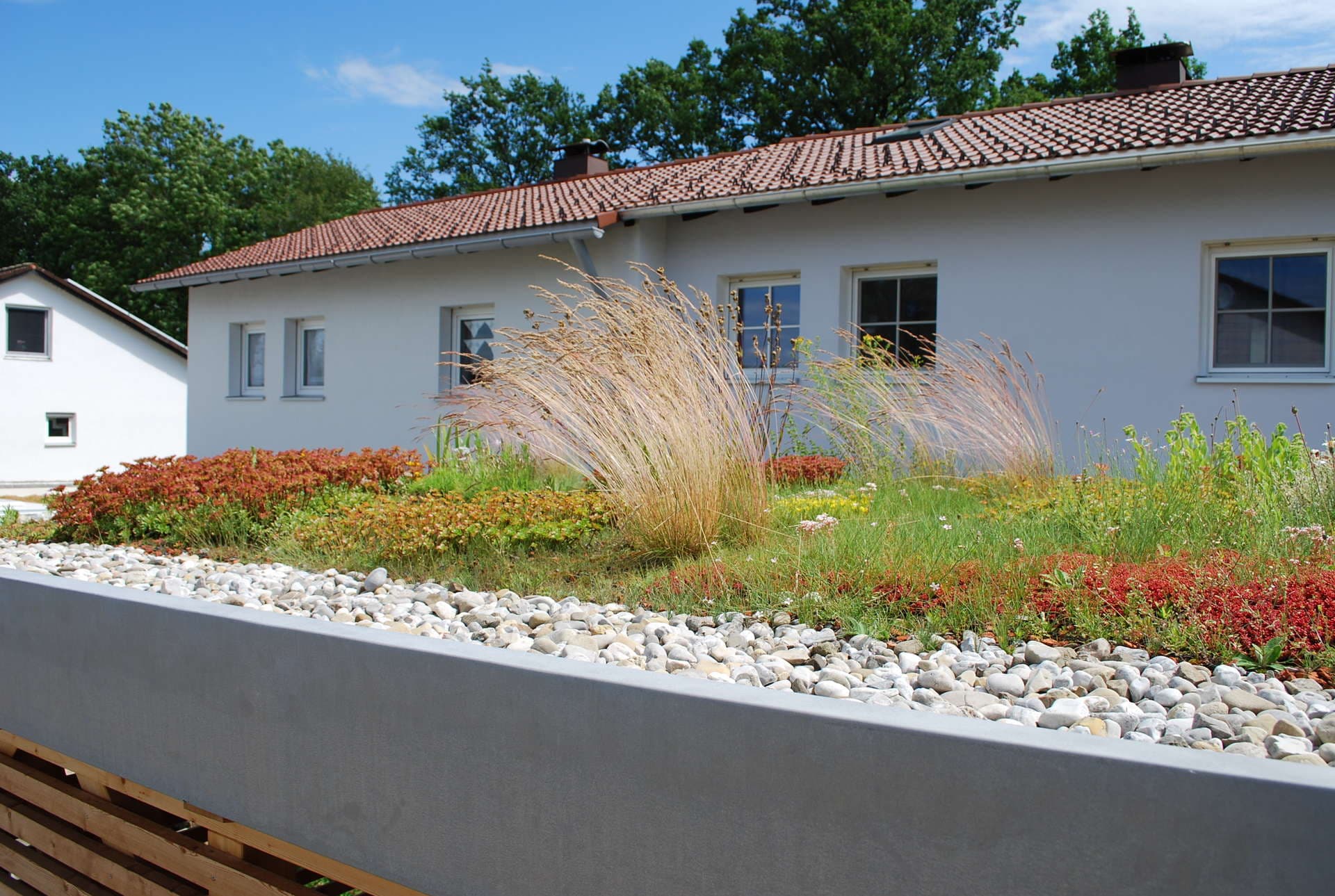 Swimming Pond Slide 3