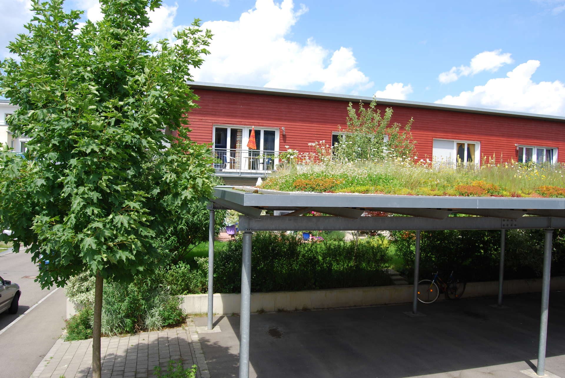 Swimming Pond Slide 6